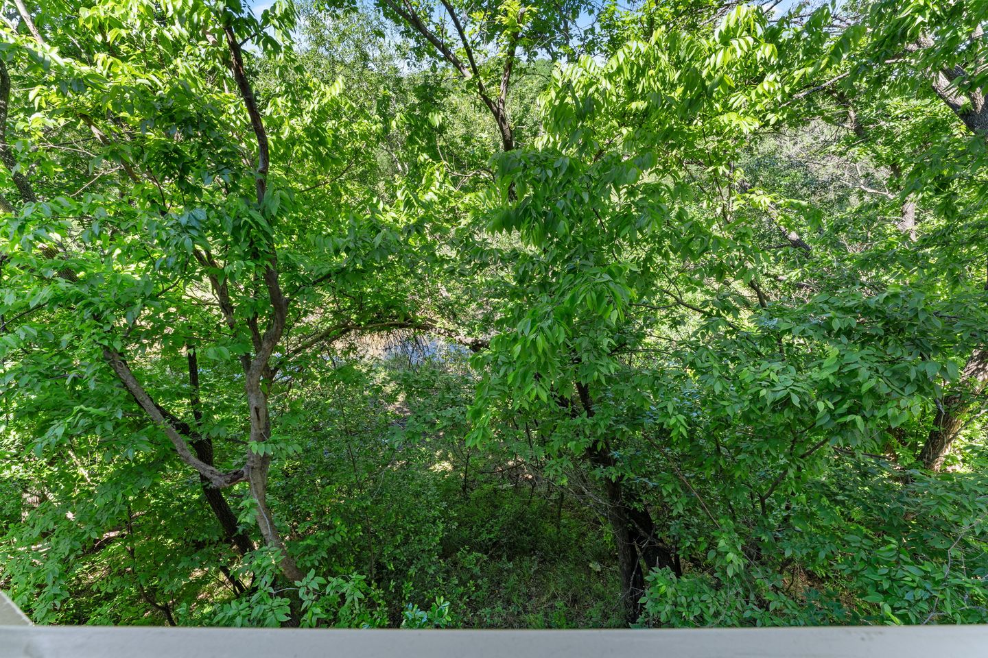 24-web-or-mls-4002-shoal-creek-blvd-b-(22-of-25).jpg