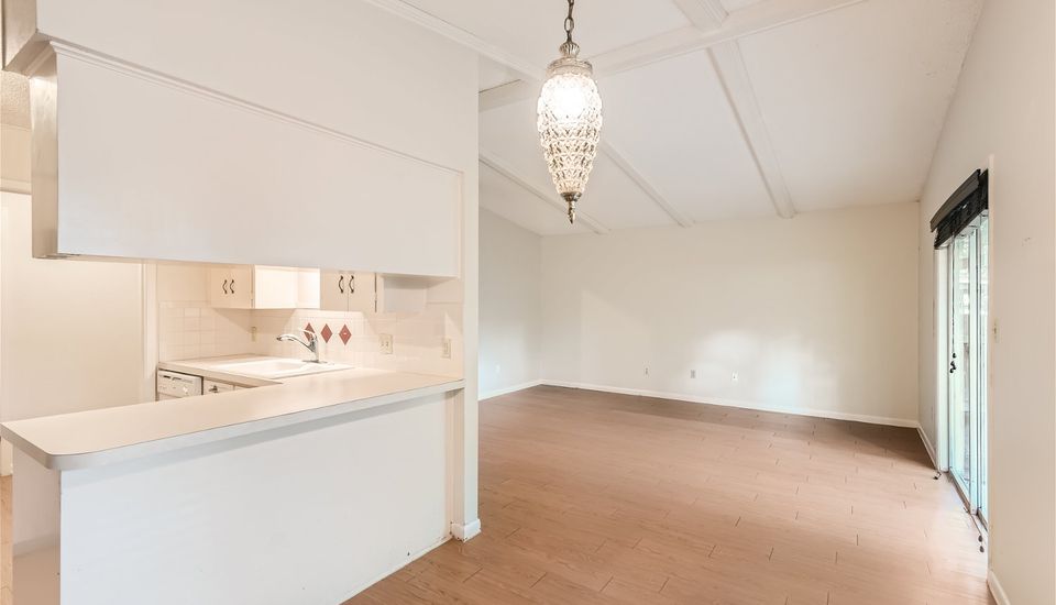 professional-1