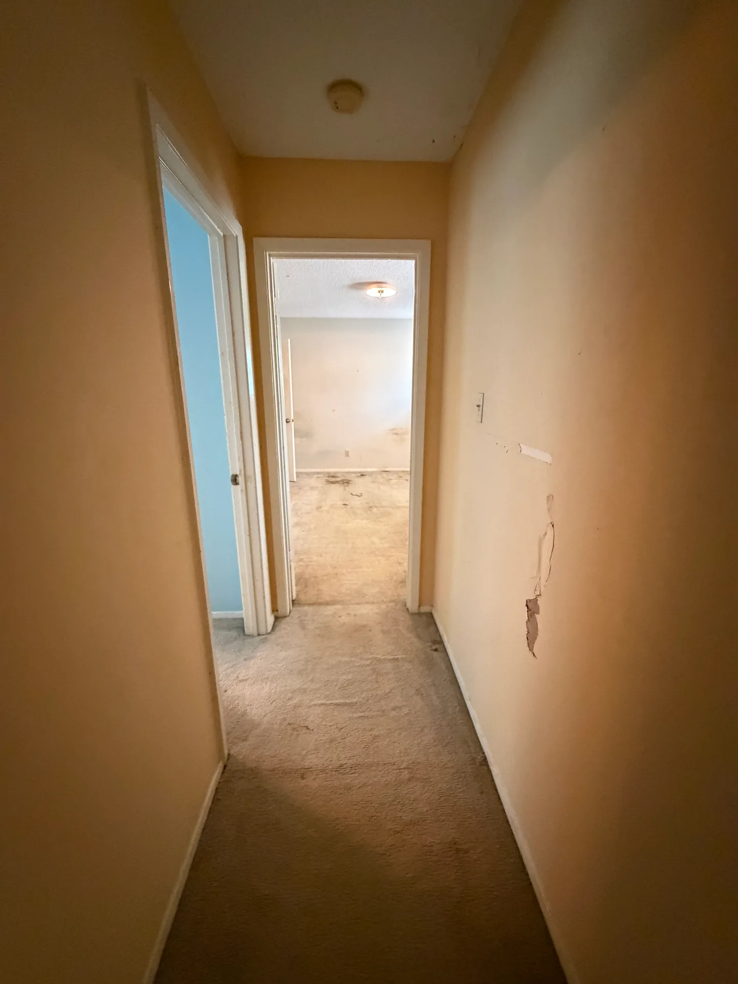 6812 Stage Coach Trail, photo 30