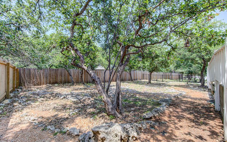 ironwood--philip-rogers-photograph-26.jpg
