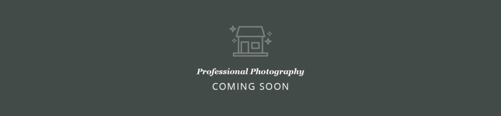 professional-1