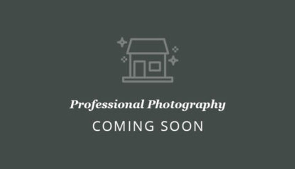 professional-1
