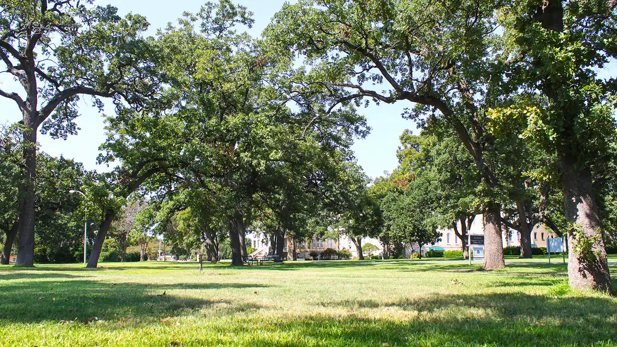 Walkable Neighborhoods for Active Lifestyles