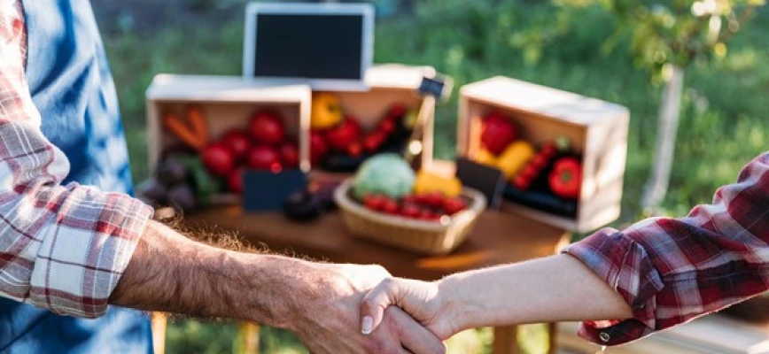 Best Street Markets in Central Austin