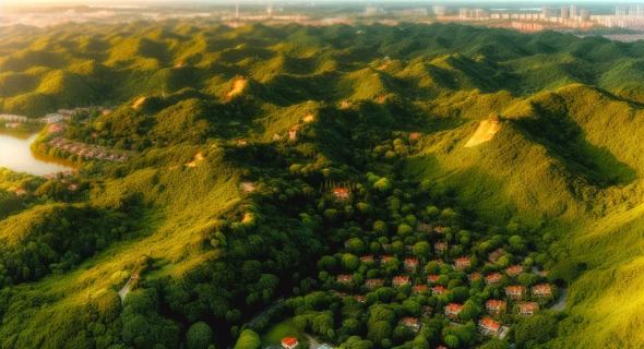 Discover Austin's Most Picturesque Neighborhoods: A Guide to Scenic Neighborhoods Austin TX