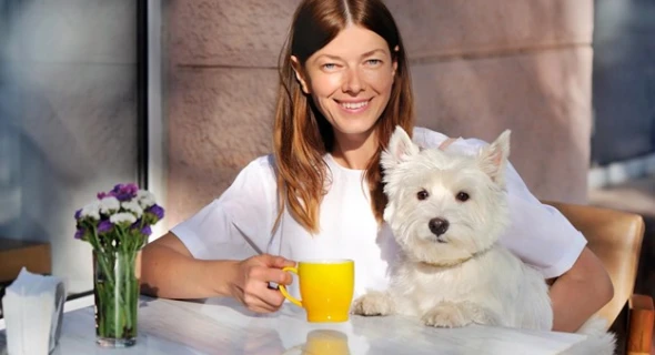 6 Reasons You Should Live in a Pet-Friendly City