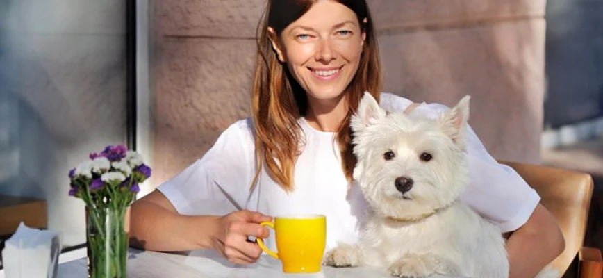 6 Reasons You Should Live in a Pet-Friendly City