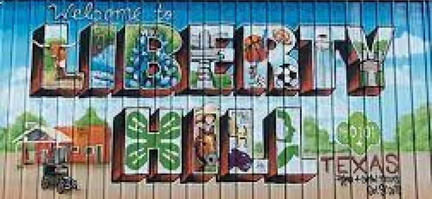 Moving to Liberty Hill TX: The Pros and Cons