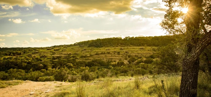 20 Incredible Day Trips from Austin, Texas