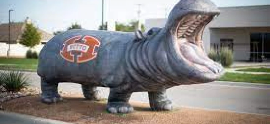 Moving to Hutto, TX: A 2023 Relocation Guide