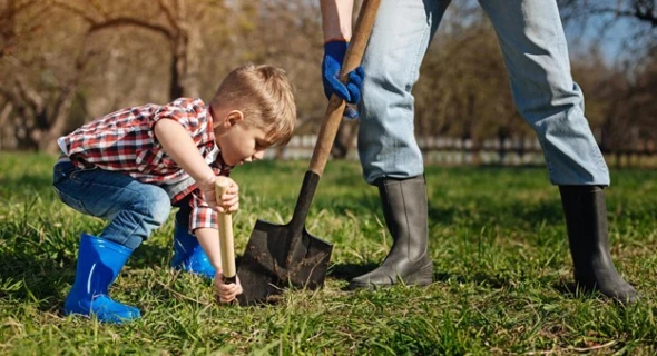 Backyard Geology: A Guide for Homeowners and Families