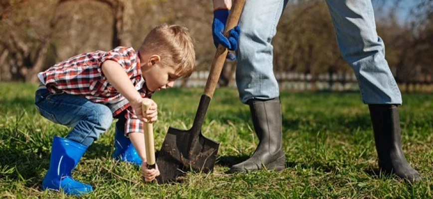 Backyard Geology: A Guide for Homeowners and Families